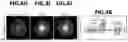 Fig. 11 - EPITOPE TAGS RECOGNIZED BY SPECIFIC BINDERS