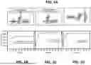 Fig. 02 - EPITOPE TAGS RECOGNIZED BY SPECIFIC BINDERS