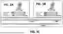Fig. 06 - EPITOPE TAGS RECOGNIZED BY SPECIFIC BINDERS