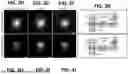Fig. 07 - EPITOPE TAGS RECOGNIZED BY SPECIFIC BINDERS