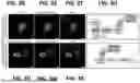 Fig. 09 - EPITOPE TAGS RECOGNIZED BY SPECIFIC BINDERS