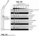 Fig. 14 - EPITOPE TAGS RECOGNIZED BY SPECIFIC BINDERS