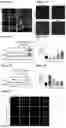Fig. 05 - GENE THERAPY TREATMENT