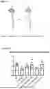 Fig. 09 - GENE THERAPY TREATMENT