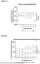 Fig. 12 - GENE THERAPY TREATMENT