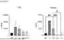 Fig. 22 - GENE THERAPY TREATMENT