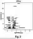 Fig. 04 - PERSONALIZED MUC1-C INDUCED PLURIPOTENT STEM CELL AND DENDRITIC CELL BASED VACCINES