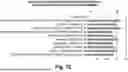 Fig. 13 - PERSONALIZED MUC1-C INDUCED PLURIPOTENT STEM CELL AND DENDRITIC CELL BASED VACCINES