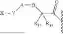 Fig. 06 - BIOREVERSABLE PROMOIETIES FOR NITROGEN-CONTAINING AND HYDROXYL-CONTAINING DRUGS