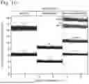 Fig. 07 - DIGITAL ASSAYS WITH A GENERIC REPORTER
