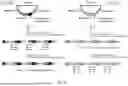 Fig. 35 - INCREASING SEQUENCING THROUGHPUT IN NEXT GENERATION SEQUENCING OF THREE-DIMENSIONAL SAMPLES