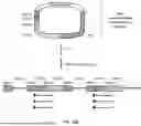 Fig. 45 - INCREASING SEQUENCING THROUGHPUT IN NEXT GENERATION SEQUENCING OF THREE-DIMENSIONAL SAMPLES