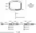 Fig. 49 - INCREASING SEQUENCING THROUGHPUT IN NEXT GENERATION SEQUENCING OF THREE-DIMENSIONAL SAMPLES