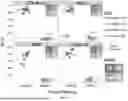 Fig. 09 - METHODS AND COMPOSITIONS FOR RAPID PATHOGEN DETECTION