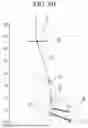 Fig. 08 - Continuously Variable Displacement and Variable Compression Ratio Mechanism and an Engine Provided with the Same