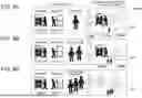 Fig. 09 - PERSON ANALYZING SYSTEM, PERSON ANALYZING METHOD, AND PERSON ANALYZING PROGRAM