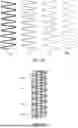 Fig. 07 - METHOD AND SYSTEM FOR REDUCING LINE SEPARATION ARTIFACTS IN INTERLACED IMAGE PROJECTION