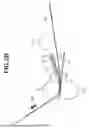 Fig. 04 - IMAGE FORMING APPARATUS