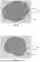 Fig. 06 - ELECTRODE MATERIAL AND BATTERY