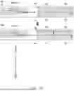 Fig. 23 - MULTI-FOLDABLE ELECTRONIC DEVICE INCLUDING ANTENNA