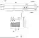 Fig. 37 - MULTI-FOLDABLE ELECTRONIC DEVICE INCLUDING ANTENNA