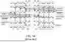 Fig. 02 - MULTIBEAM ARRAY ANTENNAS WITH STABLE BEAM PEAKS AND BEAM WIDTHS THROUGH MULTIPLEXERS