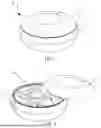 Fig. 02 - EARPHONE CHARGING BOX AND EARPHONE KIT