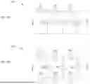 Fig. 02 - SOLIDLY-MOUNTED TRANSVERSELY-EXCITED BULK ACOUSTIC RESONATOR SPLIT LADDER FILTER