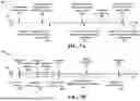 Fig. 08 - UPLINK RESOURCE MUTING RELATED UE CAPABILITIES