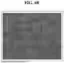 Fig. 08 - DISPLAY DEVICE AND METHOD OF MANUFACTURING THE SAME