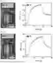 Fig. 77 - TEMPERATURE-SENSITIVE NEUROMORPHIC-BASED ACTUATOR-RESPONSIVE OPTICAL SKIN DEVICE AND ITS MANUFACTURING METHOD