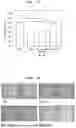 Fig. 09 - ZEBRAFISH ANIMAL MODEL FOR INFLAMMATORY DISEASES AND METHOD FOR SCREEING ANTI-INFLAMMATORY AGENTS USING SAME