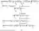 Fig. 05 - Non-Human Animals Expressing pH-Sensitive Immunoglobulin Sequences