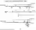 Fig. 09 - Non-Human Animals Expressing pH-Sensitive Immunoglobulin Sequences