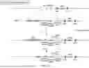 Fig. 44 - Non-Human Animals Expressing pH-Sensitive Immunoglobulin Sequences