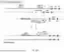 Fig. 45 - Non-Human Animals Expressing pH-Sensitive Immunoglobulin Sequences