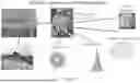 Fig. 08 - AGRICULTURAL COMPOSITIONS COMPRISING REMODELED NITROGEN FIXING MICROBES