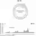 Fig. 20 - AGRICULTURAL COMPOSITIONS COMPRISING REMODELED NITROGEN FIXING MICROBES