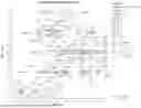Fig. 33 - AGRICULTURAL COMPOSITIONS COMPRISING REMODELED NITROGEN FIXING MICROBES