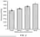 Fig. 03 - BEE NUTRITION