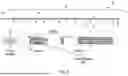 Fig. 06 - SENSOR GUIDE WIRE