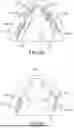 Fig. 23 - SYSTEM AND METHOD FOR IMPROVED INTRA-ORAL SCANNING PROTOCOL AND IMAGE REGISTRATION