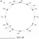 Fig. 04 - BIODEGRADABLE STENTS