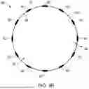 Fig. 07 - BIODEGRADABLE STENTS