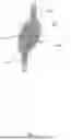Fig. 03 - MEDICAL APPLIANCE