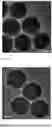 Fig. 02 - PAMAM-BASED NANOPARTICLE PROTEIN DEGRADATION SYSTEM AND METHOD OF PREPARATION AND USE THEREOF