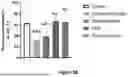 Fig. 06 - PROCESS FOR PREPARING BIOCHANIN A-LOADED HYDROGEL FOR PROMOTING WOUND HEALING IN DIABETIC PATIENTS