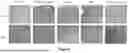 Fig. 07 - PROCESS FOR PREPARING BIOCHANIN A-LOADED HYDROGEL FOR PROMOTING WOUND HEALING IN DIABETIC PATIENTS