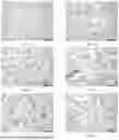Fig. 09 - COMPOSITION OF PAEONIFLORIN AND ISOLIQUIRITIGENIN AND USE THEREOF