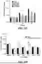 Fig. 09 - MYCOBACTERIOPHAGE COMPOSITIONS AND RELATED METHODS